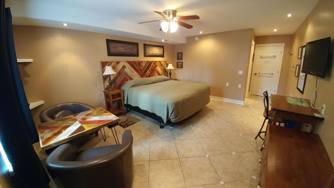Lionheart B&B Lion's Head Bagian luar foto