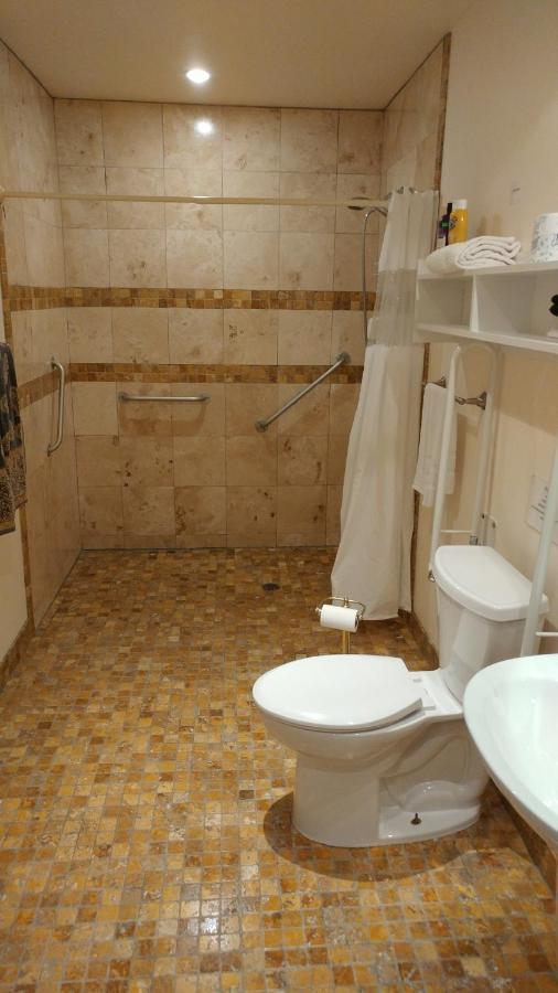Lionheart B&B Lion's Head Bagian luar foto